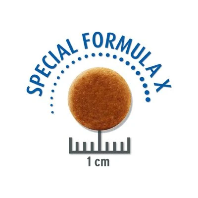 Concept For Life Calm 6 Concept For Life Calm - Afbeelding 4