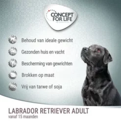 Concept For Life Labrador Retriever Adult Hondenvoer -Exporteren Bitiba winkel cfl board dog labradorretrieveradult 3