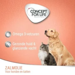 Concept For Life Zalmolie -Exporteren Bitiba winkel cfl board lachs l de 2022 8