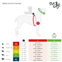 Curli Belka Comfort Tuigje - Zwart -Exporteren Bitiba winkel curli belka comfort geschirr sizes 0 1