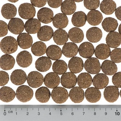 Probeerpakket: Purizon Single Meat 3 X 1 Kg 11 Probeerpakket: Purizon Single Meat 3 X 1 Kg - Afbeelding 9