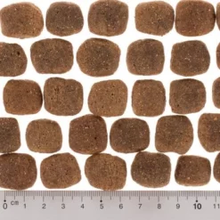 Wolf Of Wilderness - The Taste Of Canada Hondenvoer -Exporteren Bitiba winkel dsc2632 2