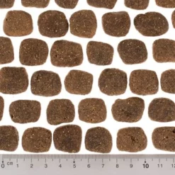 Wolf Of Wilderness - The Taste Of The Mediterranean Hondenvoer 15 Wolf Of Wilderness - The Taste Of The Mediterranean Hondenvoer -Exporteren Bitiba winkel dsc2642 0