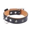 Heim Leren Halsband Stars 1 Heim Leren Halsband Stars -Exporteren Bitiba winkel dsc9109 4