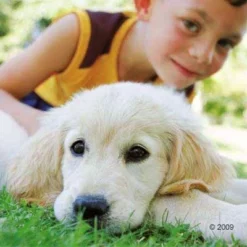 Happy Dog Supreme Mini Baby & Junior Hondenvoer -Exporteren Bitiba winkel hd hund5 1 9