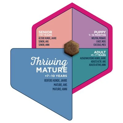 Eukanuba Thriving Mature Medium Breed Hondenvoer 8 Eukanuba Thriving Mature Medium Breed Hondenvoer - Afbeelding 6