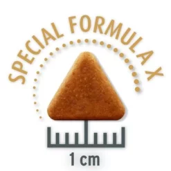 Concept For Life Indoor Cats -Exporteren Bitiba winkel indoor opt copy 6