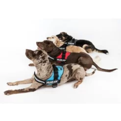 Julius K9 JULIUS-K9® Hondentuig - Rood -Exporteren Bitiba winkel juliusk9 powergeschirr 4 farben 4