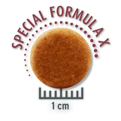 Concept For Life Maine Coon Adult Zalm - Graanvrije Receptuur! 5 Concept For Life Maine Coon Adult Zalm - Graanvrije Receptuur! - Afbeelding 3