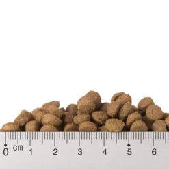 Gemengd Probeerpakket Purizon Adult Kattenvoer -Exporteren Bitiba winkel kroketten fisch 4