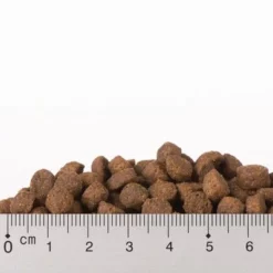 Gemengd Probeerpakket Purizon Adult Kattenvoer -Exporteren Bitiba winkel kroketten huhn mit fisch 3