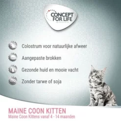 Concept For Life Maine Coon Kitten - Verbeterde Receptuur! -Exporteren Bitiba winkel maine coon kitten 7