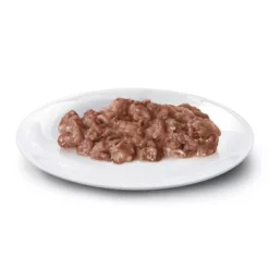 Concept For Life Maine Coon Adult Kattenvoer - Verbeterde Receptuur! -Exporteren Bitiba winkel maine coon ragout shop 1