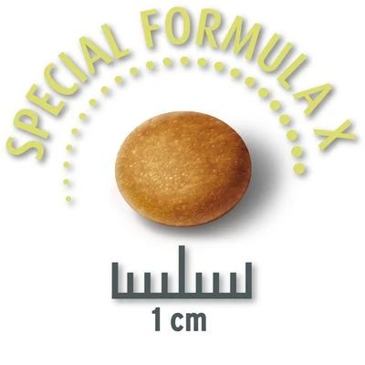 Concept For Life Mini Sensitive Hondenvoer 6 Concept For Life Mini Sensitive Hondenvoer - Afbeelding 4