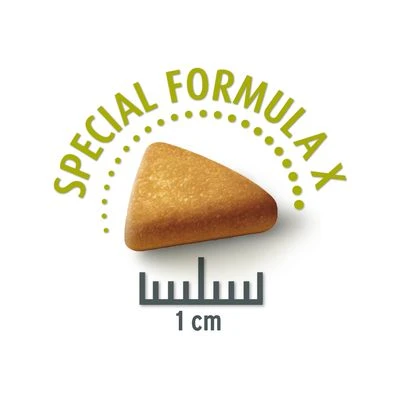 Concept For Life Mini Sterilised Hondenvoer 4 Concept For Life Mini Sterilised Hondenvoer - Afbeelding 2