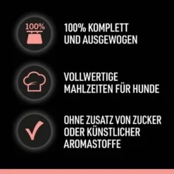 Cesar Selectie Vlees En Groente In Saus 12 Cesar Selectie Vlees En Groente In Saus -Exporteren Bitiba winkel neues projekt 60 3