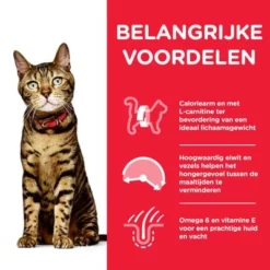 Hill's Science Plan Adult 1-6 Optimal Care Light - Kip 8 Hill's Science Plan Adult 1-6 Optimal Care Light - Kip -Exporteren Bitiba winkel nl cat adult light transition benefit 1 6
