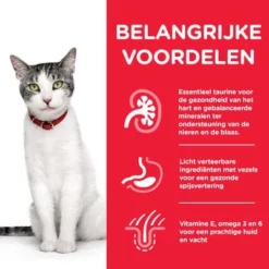 Hill's Science Plan Senior 11+ Healthy Aging - Kip -Exporteren Bitiba winkel nl cat senior chicken transition benefits 1 4