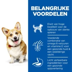 Hill's Science Plan Adult 1-6 Small & Mini Met Kip 13 Hill's Science Plan Adult 1-6 Small & Mini Met Kip -Exporteren Bitiba winkel nl dog adult s m chicken transition benefits 6
