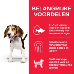 Hill's Science Plan Puppy Medium Met Kip -Exporteren Bitiba winkel nl dog puppy medium chicken transition benefits 0