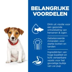 Hill's Science Plan Puppy Small & Mini Kip & Kalkoen 13 Hill's Science Plan Puppy Small & Mini Kip & Kalkoen -Exporteren Bitiba winkel nl dog puppy s m chicken transition benefits 5