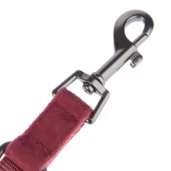 Hondenriem Nomad Tales Blush, Rosé 25 Hondenriem Nomad Tales Blush, Rosé -Exporteren Bitiba winkel nomad tales bloom halsbaender fg 1399 8