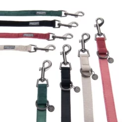 Hondenriem Nomad Tales Blush, Rosé 33 Hondenriem Nomad Tales Blush, Rosé -Exporteren Bitiba winkel nomad tales bloom halsbaender fg 1433 3