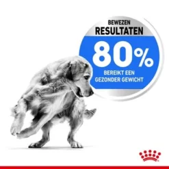 Royal Canin Medium Light Weight Care Hondenvoer -Exporteren Bitiba winkel optimized rc spt dry lightweightmed cv 2 nl nl 6