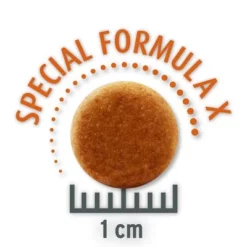 Concept For Life Outdoor Cats - Verbeterde Receptuur -Exporteren Bitiba winkel outdoor opt copy 1