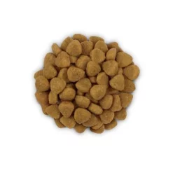 Hill´s Prescription Diet D/D Allergy & Skin Care Kattenvoer Met Eend En Groene Erwten 12 Hill´s Prescription Diet D/D Allergy & Skin Care Kattenvoer Met Eend En Groene Erwten -Exporteren Bitiba winkel pd dd feline pile 1000x1000px 7