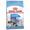 Royal Canin Giant Starter Mother & Babydog Hondenvoer -Exporteren Bitiba winkel pla royal canin shn giant starter packshot 8
