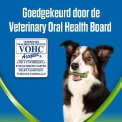 Purina Dentalife Active Fresh Gebitsverzorgingssnacks Voor Middelgrote Honden -Exporteren Bitiba winkel pu dentalife nlactivfresh atf eretailers amazon zooplus l 4 1657681091858 1 0