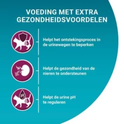 Purina ONE Urinary Health Met Kip -Exporteren Bitiba winkel puoedcgoaursech22fnb21plgem 9
