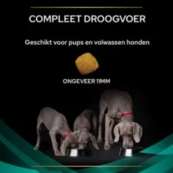 Purina Pro Plan Veterinary Diets - EN Gastrointestinal Hondenvoer -Exporteren Bitiba winkel puppvdddadven22ksizrnl 8