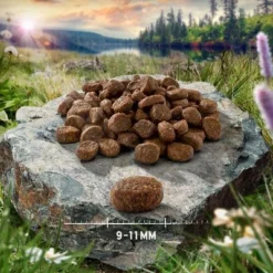 Purizon Adult Hert & Vis -Exporteren Bitiba winkel purizon cat adult deer fish 9 11 mm p4 2