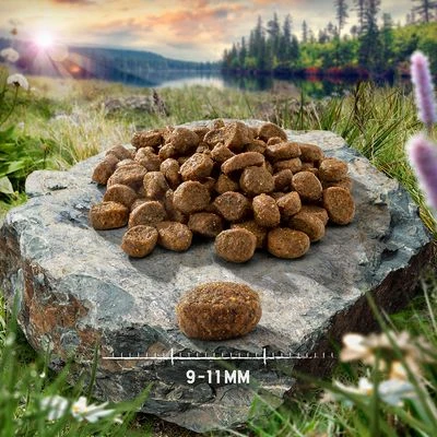 Purizon Adult Lam & Vis Kattenvoer 10 Purizon Adult Lam & Vis Kattenvoer - Afbeelding 8