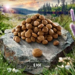 Purizon Single Meat Kip Met Kamillebloesem Kattenvoer -Exporteren Bitiba winkel purizon sm 1000x1000 1