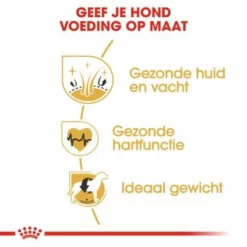 Royal Canin Golden Retriever Adult Hondenvoer -Exporteren Bitiba winkel rc bhn goldenretriever cv eretailkit 3 nl nl 9