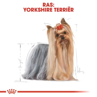Royal Canin Yorkshire Terriër Adult Hondenvoer 8 Royal Canin Yorkshire Terriër Adult Hondenvoer - Afbeelding 6