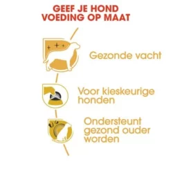 Royal Canin Yorkshire Terriër Adult Hondenvoer 13 Royal Canin Yorkshire Terriër Adult Hondenvoer -Exporteren Bitiba winkel rc bhn yorkshire cv eretailkit 3 nl nl 7