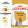 Royal Canin Yorkshire Terriër Adult Hondenvoer 1 Royal Canin Yorkshire Terriër Adult Hondenvoer -Exporteren Bitiba winkel rc bhn yorkshire mv eretailkit nl nl 7