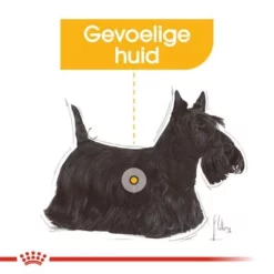 Royal Canin Health Nutrition Dermacomfort Mini Hondenvoer -Exporteren Bitiba winkel rc ccn dermamini cv eretailkit 2 nl nl 1