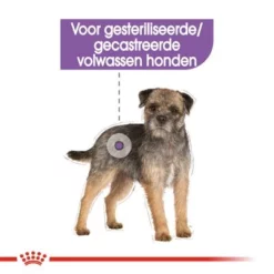 Royal Canin Mini Adult Sterilised Hondenvoer -Exporteren Bitiba winkel rc ccn sterilisedmini cv eretailkit 2 nl nl 5