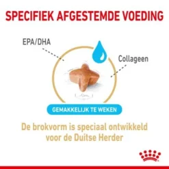 Royal Canin Breed German Shepherd Adult 5+ Hondenvoer 11 Royal Canin Breed German Shepherd Adult 5+ Hondenvoer -Exporteren Bitiba winkel rc spt dry germshep5 cv 2 nl nl 5