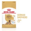 Royal Canin Breed German Shepherd Adult 5+ Hondenvoer -Exporteren Bitiba winkel rc spt dry germshep5 mv 1 nl nl 1