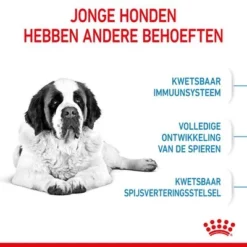 Royal Canin Giant Junior Hondenvoer 13 Royal Canin Giant Junior Hondenvoer -Exporteren Bitiba winkel rc spt dry giantjunior cv 2 nl nl 1 4