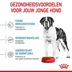 Royal Canin Giant Junior Hondenvoer 14 Royal Canin Giant Junior Hondenvoer -Exporteren Bitiba winkel rc spt dry giantjunior cv 3 nl nl 1 6
