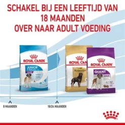 Royal Canin Giant Junior Hondenvoer 15 Royal Canin Giant Junior Hondenvoer -Exporteren Bitiba winkel rc spt dry giantjunior cv 5 nl nl 1 2