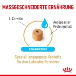 Royal Canin Breed Labrador Retriever Adult 5+ Hondenvoer 11 Royal Canin Breed Labrador Retriever Adult 5+ Hondenvoer -Exporteren Bitiba winkel rc spt dry lab5 cv 2 de de 0