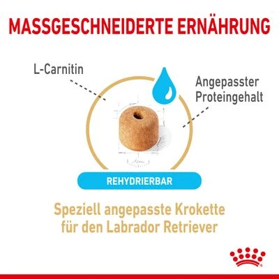 Royal Canin Breed Labrador Retriever Adult 5+ Hondenvoer 6 Royal Canin Breed Labrador Retriever Adult 5+ Hondenvoer - Afbeelding 4